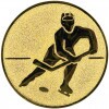Hockey medal insert
