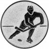Hockey medal insert