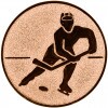 Hockey medal insert