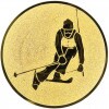Alpine skiing medal insert