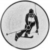 Alpine skiing medal insert