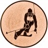 Alpine skiing medal insert