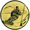 Snowboard medal insert