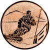 Snowboard medal insert