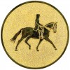 Equestrian (dressage) medal insert