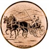 Rider (driving) medal insert