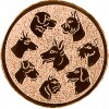 Dog medal insert