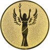 Victory medal insert