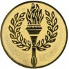Torch medal insert