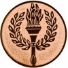 Torch medal insert