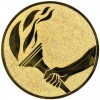 Torch medal insert