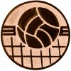 Volleyball medal insert