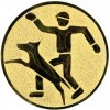 Dog training medal insert
