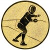 Fencing medal insert