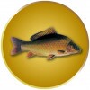 Carp medal insert silver 25 mm
