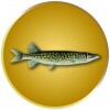 Pike medal insert
