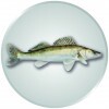 Pike-perch medal insert