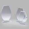 Crystal trophy Holly in gift box