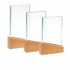 Wood and glass award Katherine