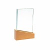 Wood and glass award Katherine