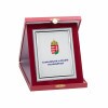 Leather effect plaque box in burgundy color