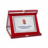 Leather effect plaque box in burgundy color