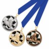 Medal 230