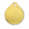 Medal 311