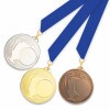 Medal 510