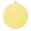 Medal 551