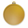 Medal 559