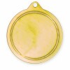 Medal 579