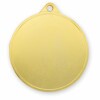 Medal 731
