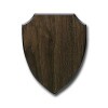 Wooden shield 151