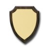 Wooden shield with engraving plate 151