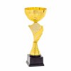 Kds cup Kende
