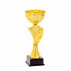 Kds cup Kende