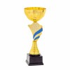 Kds cup Kendo