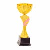 Kds cup Kendi
