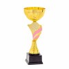 Kds cup Kendi