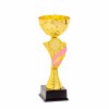 Kds cup Kendi