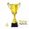 Romanian national cup Felicia