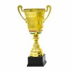 Hungarian national cup Hunor