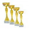 Hungarian national cup Frigyes