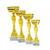 Romanian national cup Florina