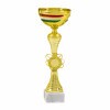Hungarian national cup Hunyadi