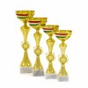 Hungarian national cup Hunyadi