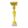 Hungarian national cup Huba