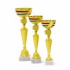 Hungarian national cup Huba
