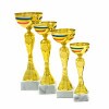 Romanian national cup Florina